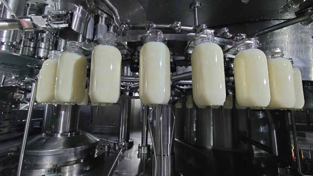 Food filling line bearing