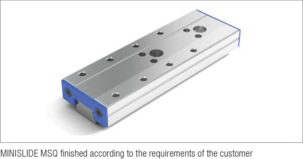 Modified MINISLIDE MSQ